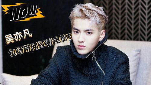 吴亦凡网红,从流量偶像到网红的蜕变之路